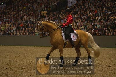 Dansk varmblod hingstekåring.
galashow
