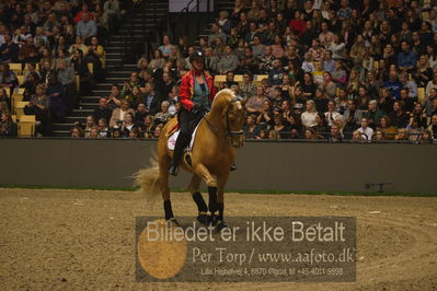 Dansk varmblod hingstekåring.
galashow
