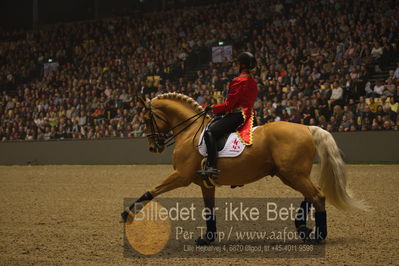 Dansk varmblod hingstekåring.
galashow
