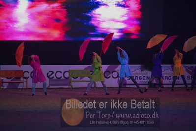 Dansk varmblod hingstekåring.
galashow
