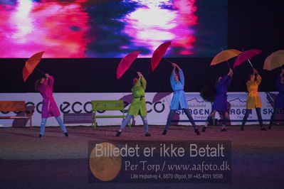 Dansk varmblod hingstekåring.
galashow
