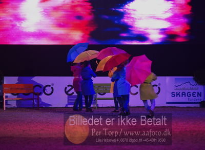 Dansk varmblod hingstekåring.
galashow
