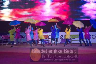 Dansk varmblod hingstekåring.
galashow
