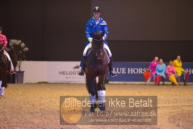 Dansk varmblod hingstekåring.
galashow
