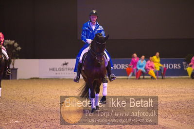 Dansk varmblod hingstekåring.
galashow
