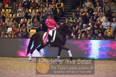 Dansk varmblod hingstekåring.
galashow
