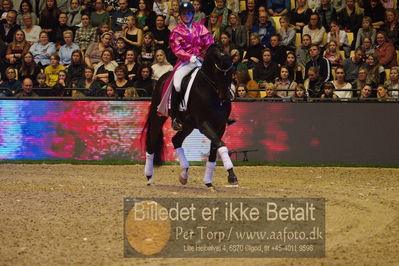 Dansk varmblod hingstekåring.
galashow
