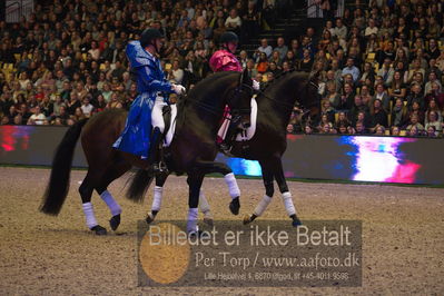 Dansk varmblod hingstekåring.
galashow
