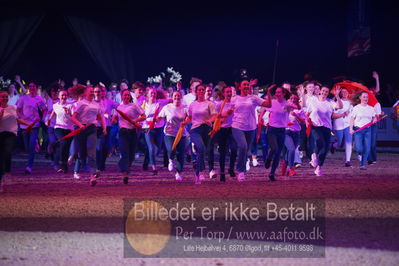 Dansk varmblod hingstekåring.
galashow
