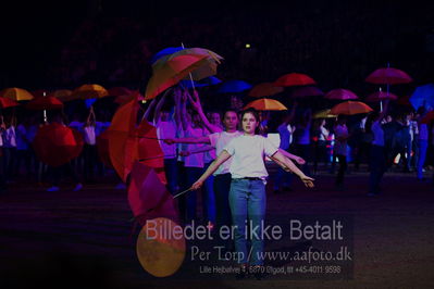 Dansk varmblod hingstekåring.
galashow
