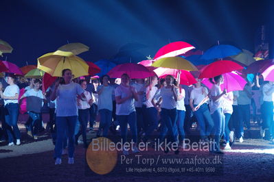 Dansk varmblod hingstekåring.
galashow
