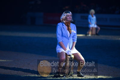 Dansk varmblod hingstekåring.
galashow
