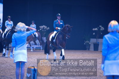 Dansk varmblod hingstekåring.
galashow
