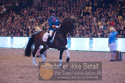 Dansk varmblod hingstekåring.
galashow

