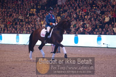 Dansk varmblod hingstekåring.
galashow
