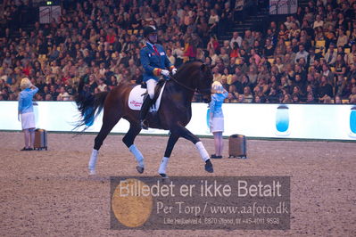 Dansk varmblod hingstekåring.
galashow
