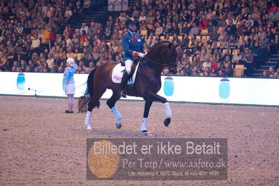 Dansk varmblod hingstekåring.
galashow
