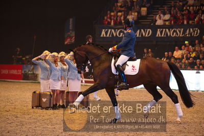 Dansk varmblod hingstekåring.
galashow
