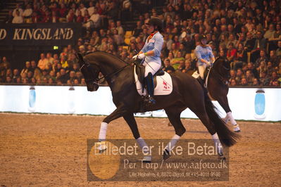 Dansk varmblod hingstekåring.
galashow

