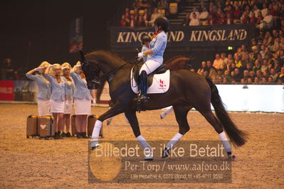 Dansk varmblod hingstekåring.
galashow
