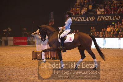 Dansk varmblod hingstekåring.
galashow
