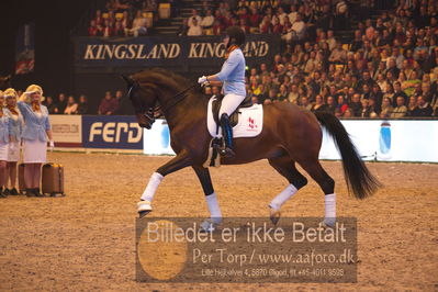 Dansk varmblod hingstekåring.
galashow
