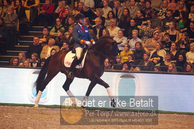 Dansk varmblod hingstekåring.
galashow
