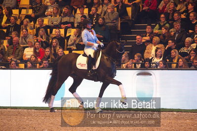 Dansk varmblod hingstekåring.
galashow
