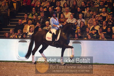 Dansk varmblod hingstekåring.
galashow
