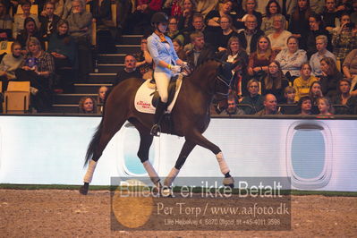 Dansk varmblod hingstekåring.
galashow
