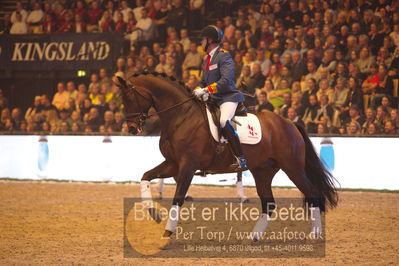 Dansk varmblod hingstekåring.
galashow
