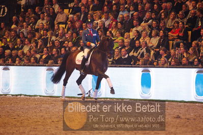 Dansk varmblod hingstekåring.
galashow

