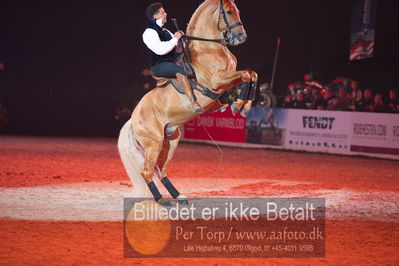 Dansk varmblod hingstekåring.
galashow
