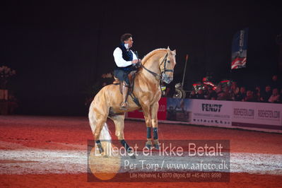 Dansk varmblod hingstekåring.
galashow
