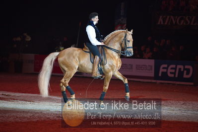 Dansk varmblod hingstekåring.
galashow
