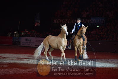 Dansk varmblod hingstekåring.
galashow
