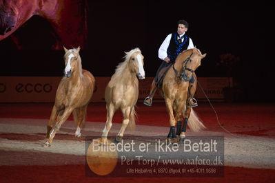 Dansk varmblod hingstekåring.
galashow
