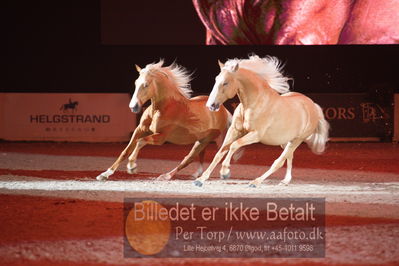 Dansk varmblod hingstekåring.
galashow
