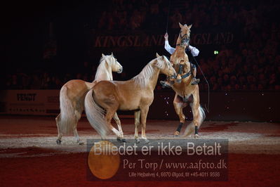 Dansk varmblod hingstekåring.
galashow
