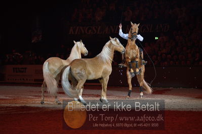 Dansk varmblod hingstekåring.
galashow
