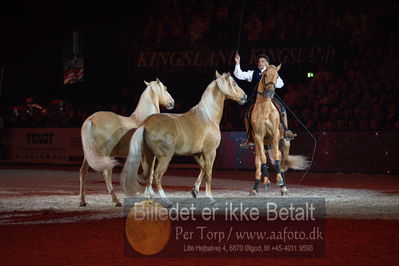 Dansk varmblod hingstekåring.
galashow
