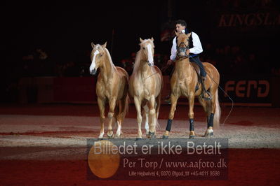 Dansk varmblod hingstekåring.
galashow
