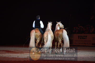 Dansk varmblod hingstekåring.
galashow
