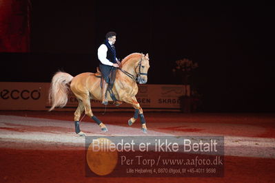 Dansk varmblod hingstekåring.
galashow
