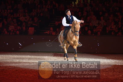 Dansk varmblod hingstekåring.
galashow
