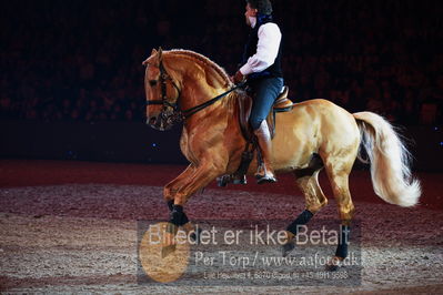 Dansk varmblod hingstekåring.
galashow
