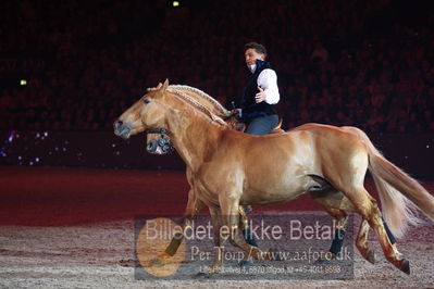 Dansk varmblod hingstekåring.
galashow
