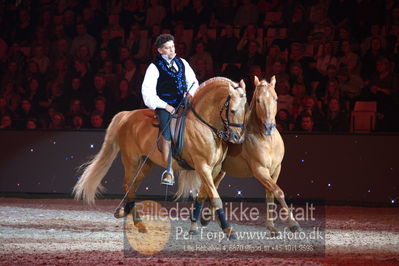 Dansk varmblod hingstekåring.
galashow
