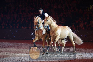 Dansk varmblod hingstekåring.
galashow
