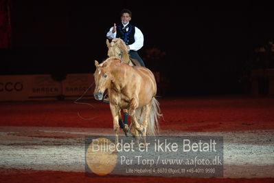 Dansk varmblod hingstekåring.
galashow
